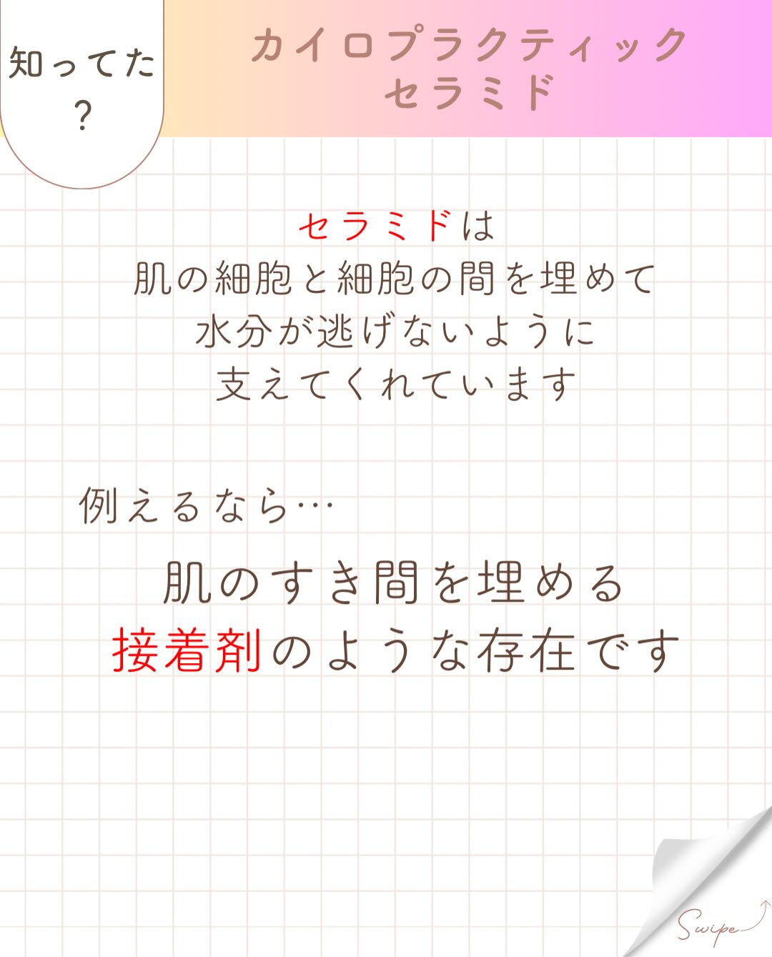 【カイロプラクティック】【埼玉県川口市】