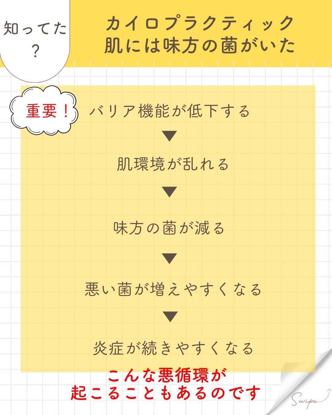 【カイロプラクティック】【埼玉県川口市】