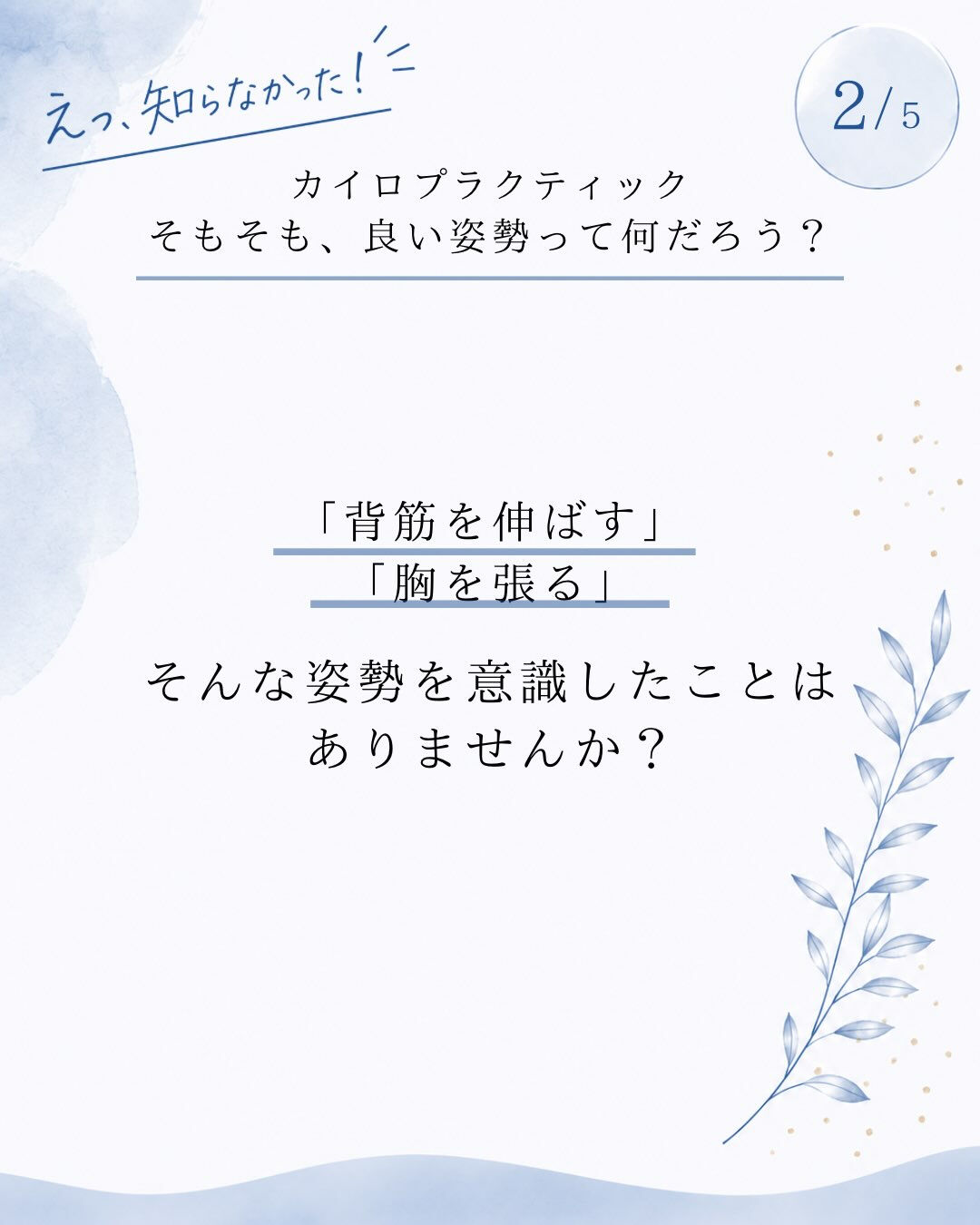 【カイロプラクティック】【埼玉県川口市】