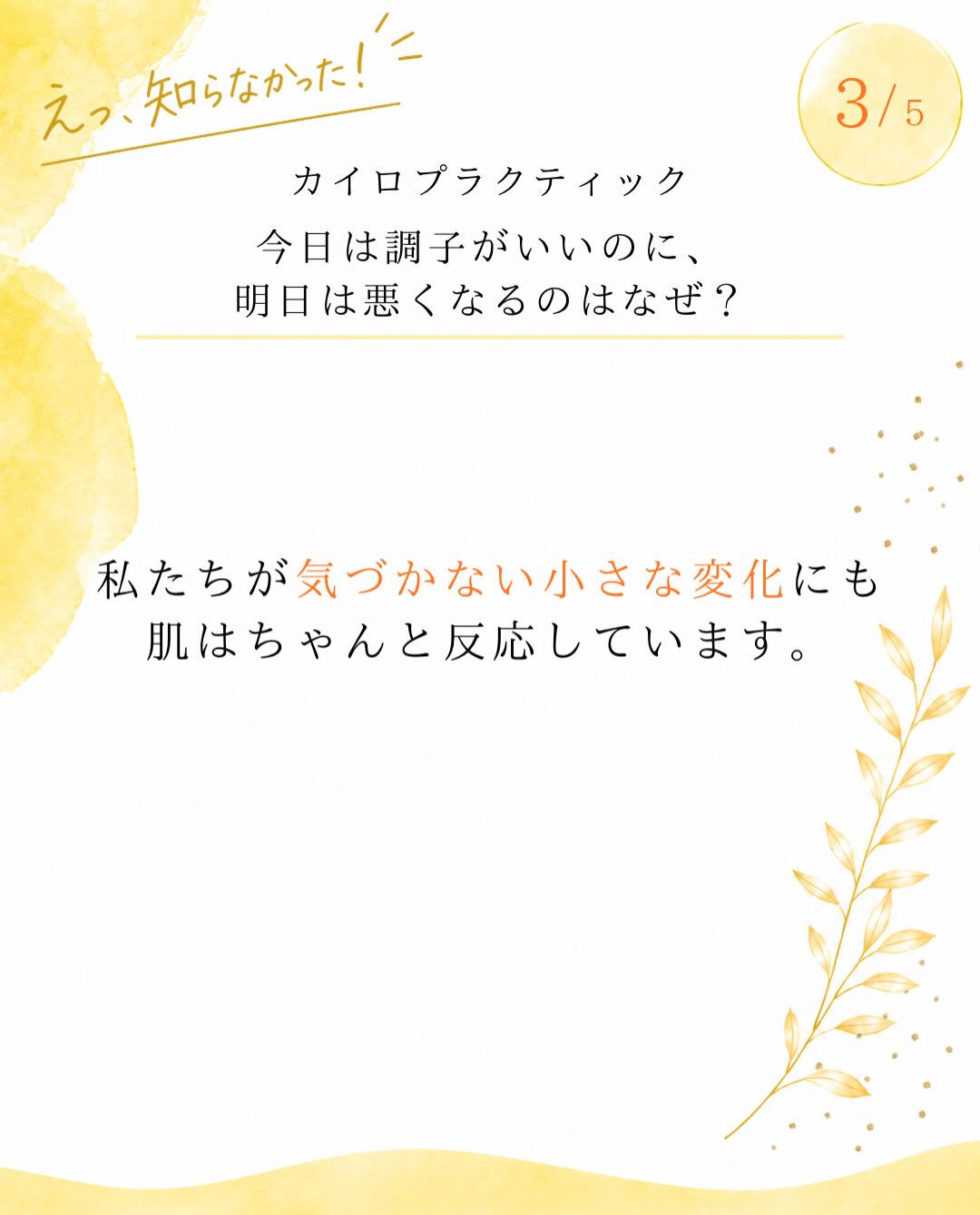 【カイロプラクティック】【埼玉県川口市】
