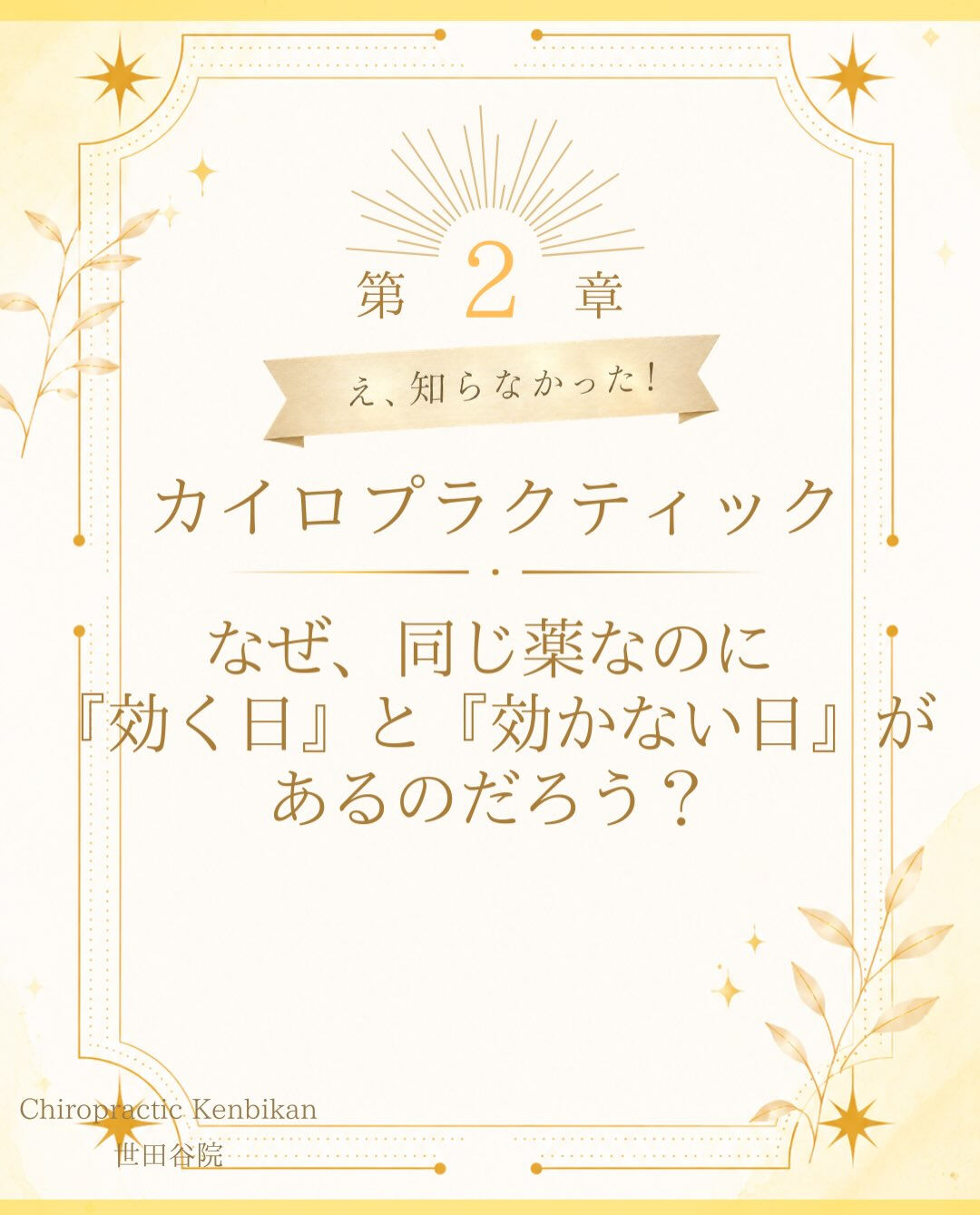 【カイロプラクティック】【埼玉県川口市】