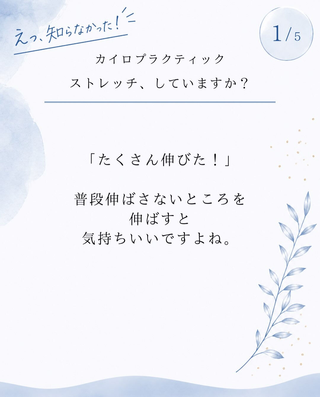 【カイロプラクティック】【埼玉県川口市】