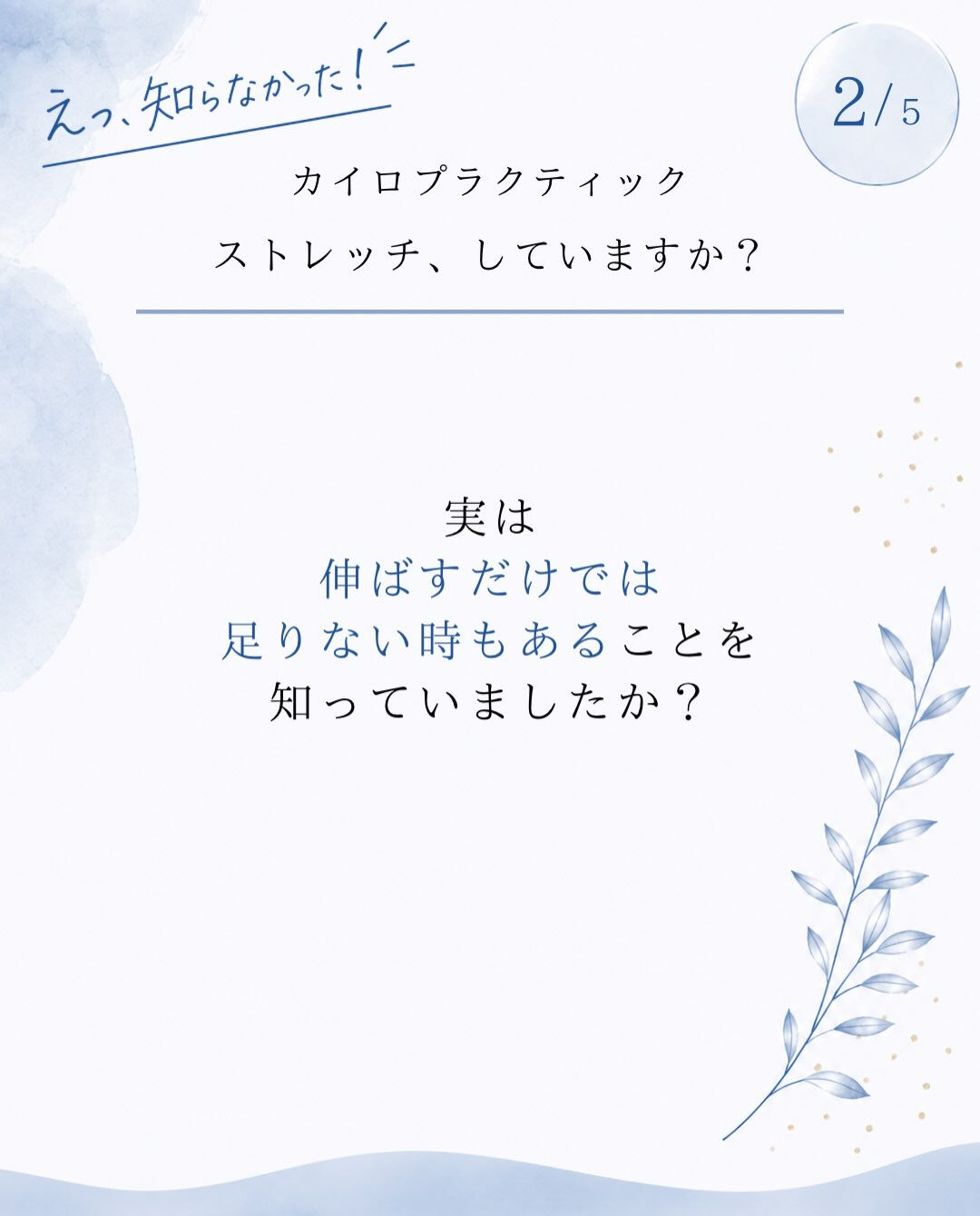 【カイロプラクティック】【埼玉県川口市】