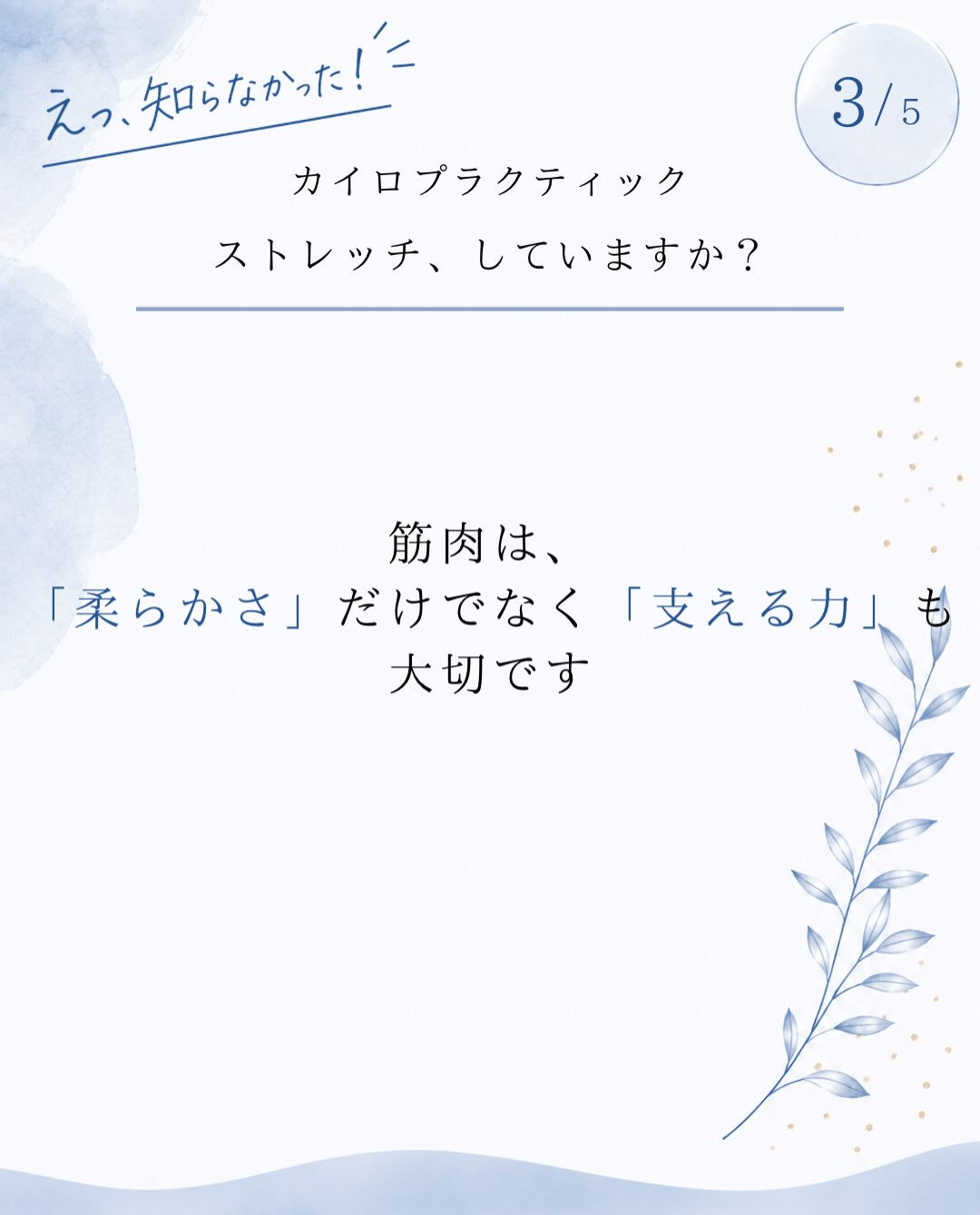 【カイロプラクティック】【埼玉県川口市】