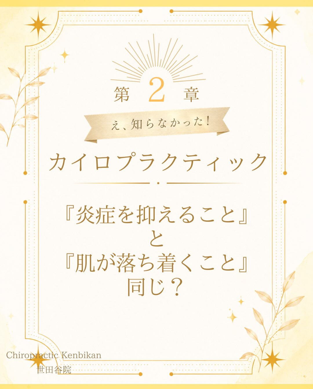 【カイロプラクティック】【埼玉県川口市】