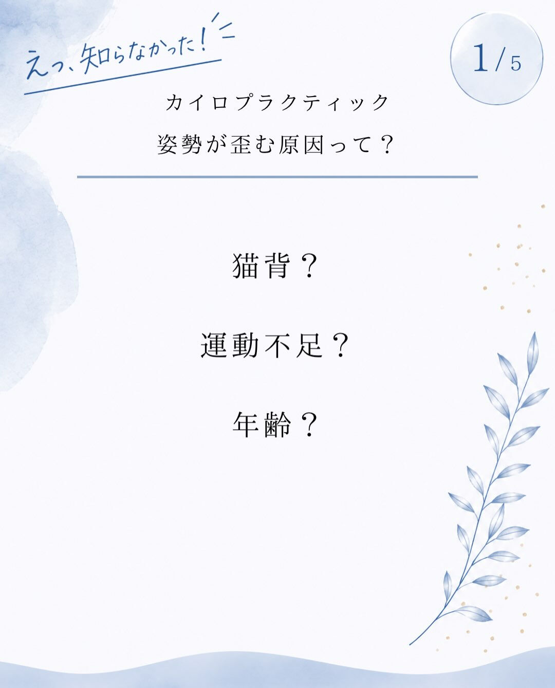 【カイロプラクティック】【埼玉県川口市】