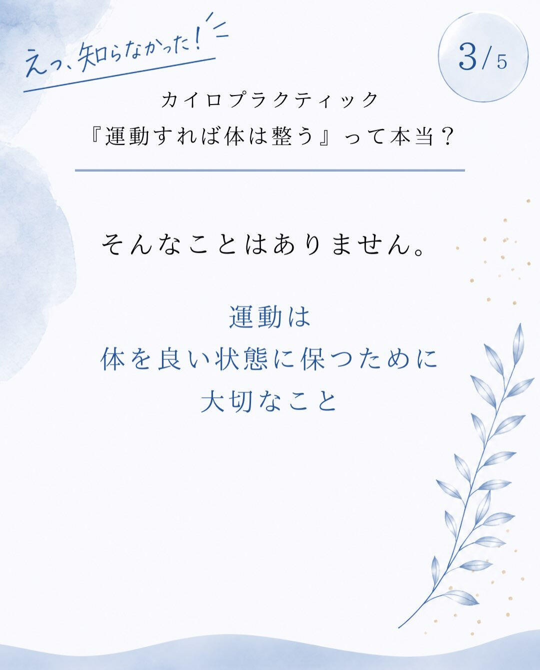 【カイロプラクティック】【埼玉県川口市】