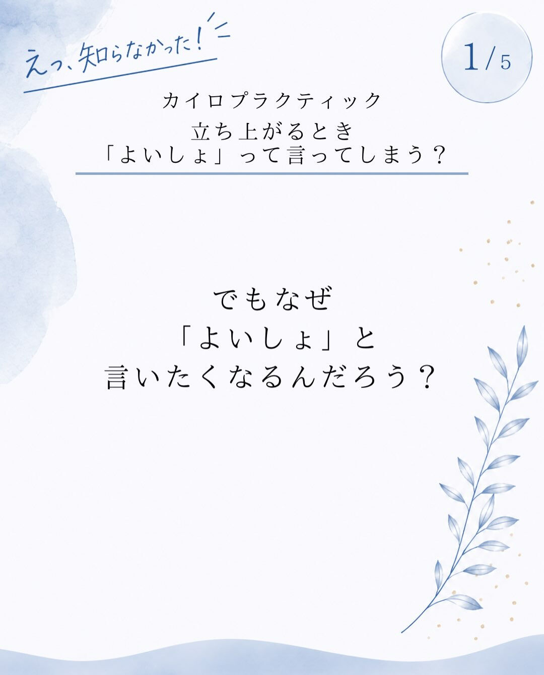 【カイロプラクティック】【埼玉県川口市】