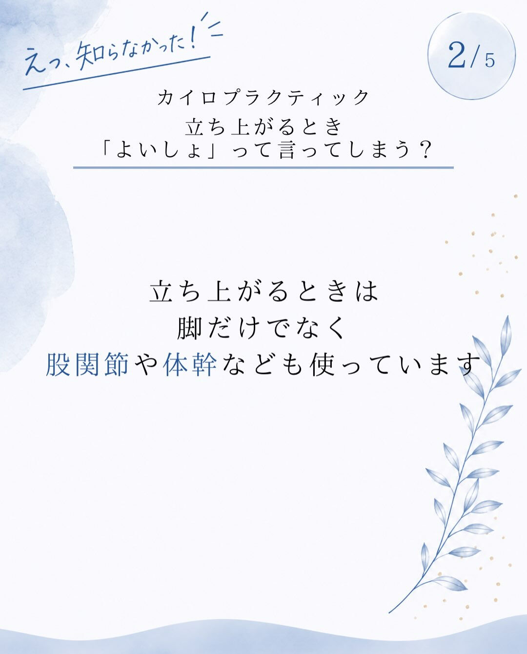 【カイロプラクティック】【埼玉県川口市】