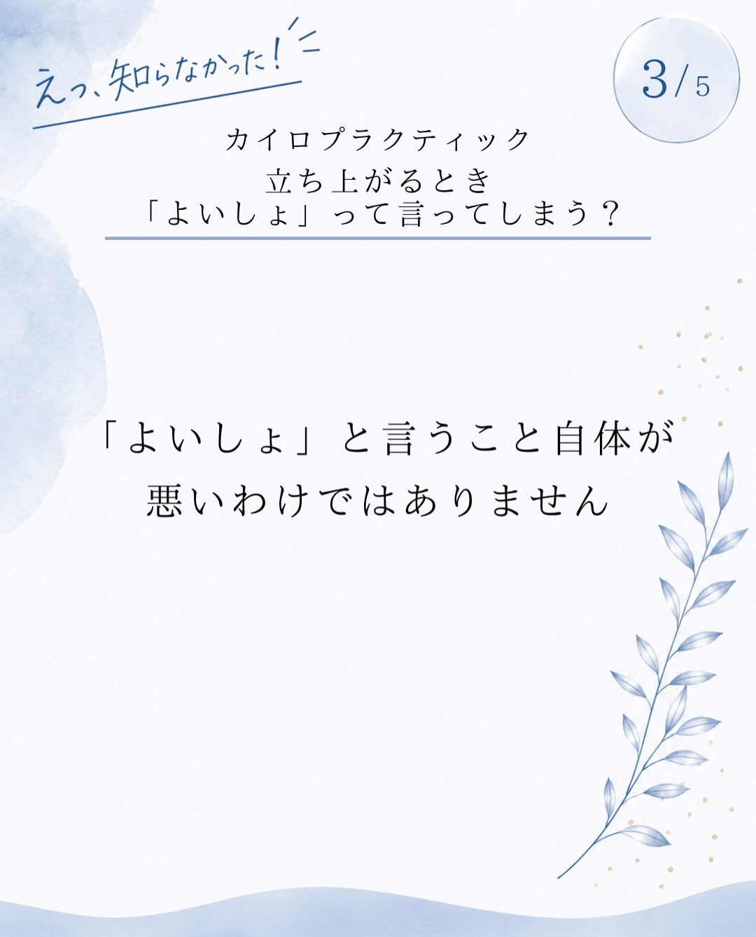 【カイロプラクティック】【埼玉県川口市】
